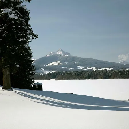 Chaletwohnung Seeblick Oy-Mittelberg