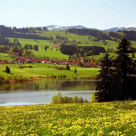 Chaletwohnung Seeblick - Sauna Und Dogfriendly Oy-Mittelberg